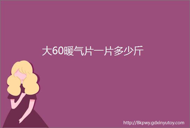 大60暖气片一片多少斤